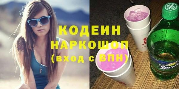 индика Коряжма