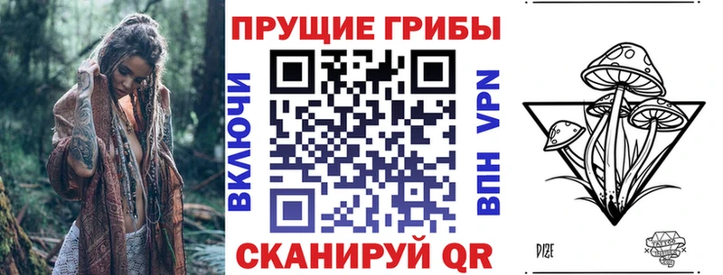 Галлюциногенные грибы Cubensis  Гусиноозёрск 